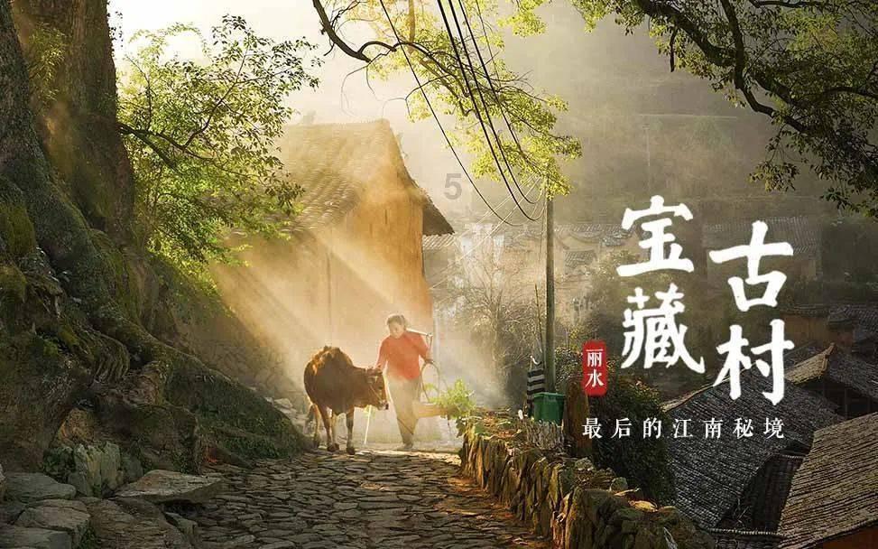 看着上甘岭遍地敌尸,8连4班提出了一个大胆想法,最终全员生还